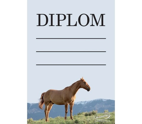 DJ02c Diplom jezdectví