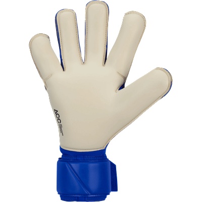 Nike Vapor Grip3 Goalkeeper Gloves