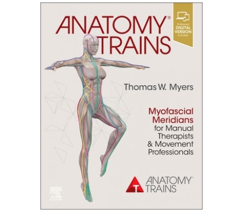 Anatomy Trains