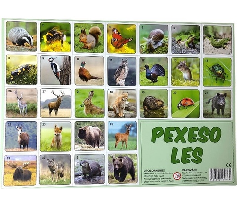 Pexeso Les
