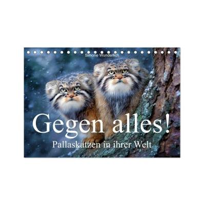 Gegen alles! Pallaskatzen in ihrer Welt Tisch DIN A5 quer, CALVENDO Monats 2027