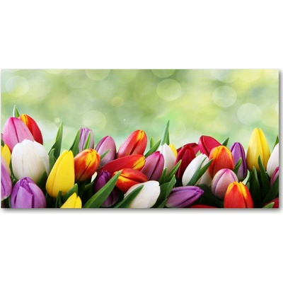 Foto-obraz fotografie na skle farebné tulipány 100x50 cm