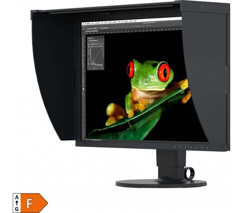 Eizo CG2420