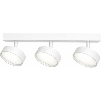 Spot Light 4003-SL-3