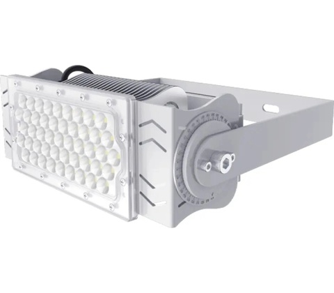 Sinclair Lighting FL2 100