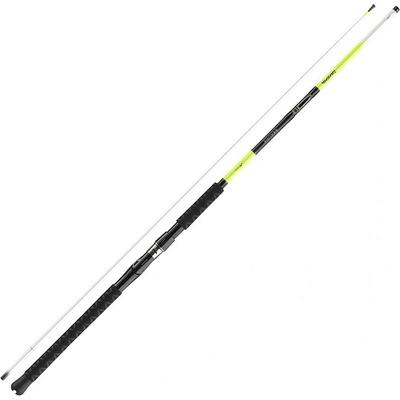Daiwa Sealine X´treme 2,25 m 100-250 g 2 díly