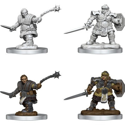 D&D Nolzur's Marvelous Miniatures: Dwarf Female Fighter