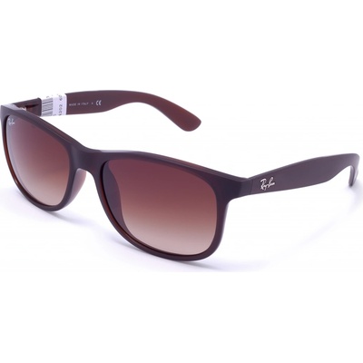 Ray-Ban RB4202 607313