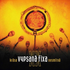 Supraphon Vypsaná fixa: Krása nesmírná XX - CD (089990)