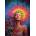 Alipson Puzzle - Puzzle Rainbow Shaman - 1 000 piese
