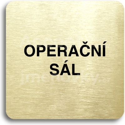ACCEPT Piktogram operační sál - zlatá tabulka - černý tisk bez rámečku