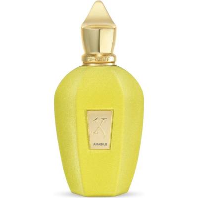 Xerjoff V Amabile parfumovaná voda unisex 100 ml