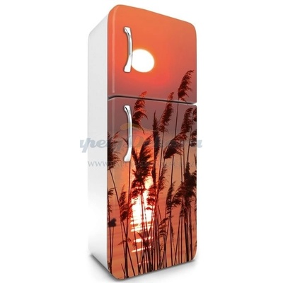 Dimex FR180-027 Samolepící fototapeta na lednice Reed rozměry 65 x 180 cm