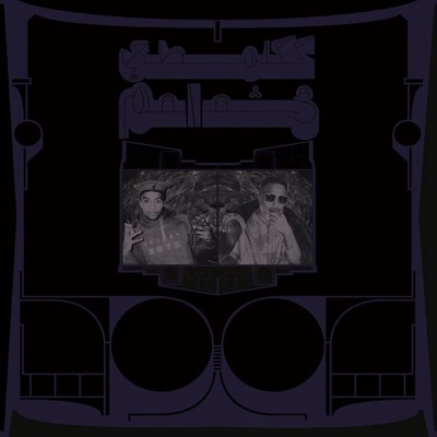 SHABAZZ PALACES - EXOTIC BIRDS OF PREY LP