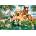 Castorland - Puzzle Summer Pals II - 500 piese