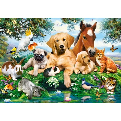 Castorland - Puzzle Summer Pals II - 500 piese