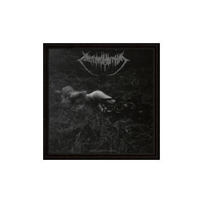 ANTROPOMORPHIA - CLOUD COLLIDER LTD.
