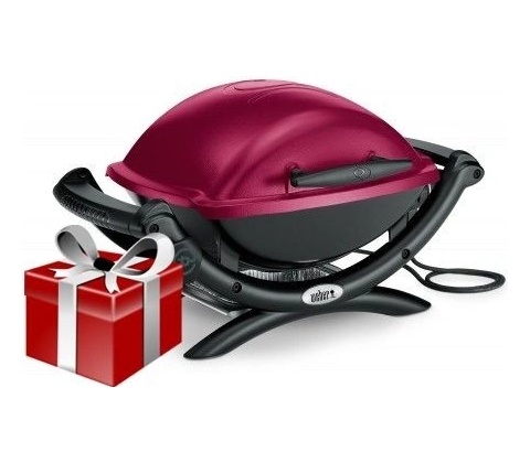 Weber Q 140