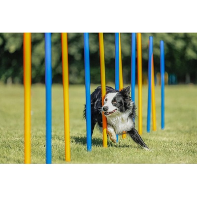 Trixie Agility slalom 12 tyčí ø 3 × 115 cm