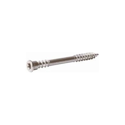 RAPI-TEC TERASO TOP TORX nerez A4 Varianta: RAPI-TEC TERASO TOP 5,5x50mm,T25,nerez A4