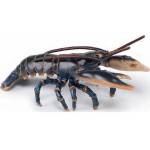 Papo lobster