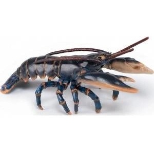 Papo lobster