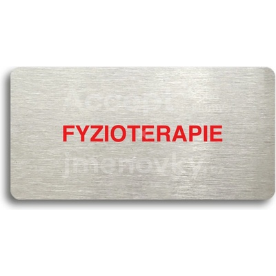 ACCEPT Piktogram FYZIOTERAPIE - stříbrná tabulka - barevný tisk bez rámečku