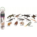 Collecta Prehistorické zvieratá A1104 mini Box