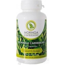 Moringa Caribbean 60 kapsúl