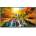 NEC MultiSync ME432 60005921