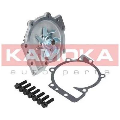 KAM-T0137