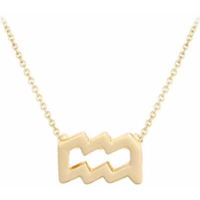 JVD Pozlátený náhrdelník s príveskom vodnár SVLN0195XH2GOVO