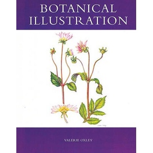 Botanical Illustration | Valerie Oxley (ISBN: 9781847970510)