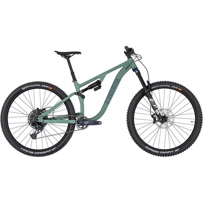 Pells Tarpan AM 1 2024