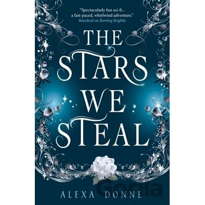 The Stars We Steal - Alexa Donne