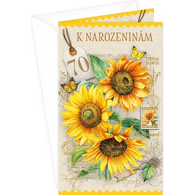ARGUS Přání k 70.narozeninám 15-6575c70