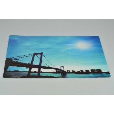Euro Habitat 3D prostírání s měnícím se efektem Most CZ95924234288 42x28cm