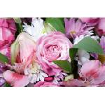 DIMEX ART Флизелинов фототапет розов букет 375 x 250 см