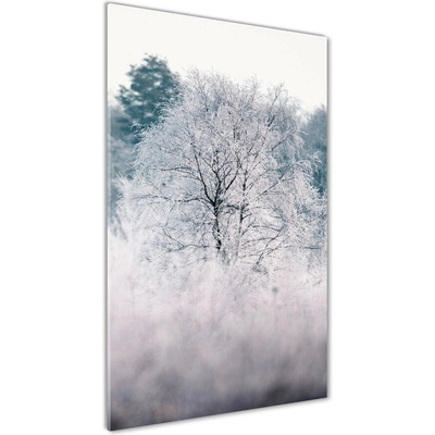 Vertikálny foto obraz fotografie na skle Les zima 50x100 cm