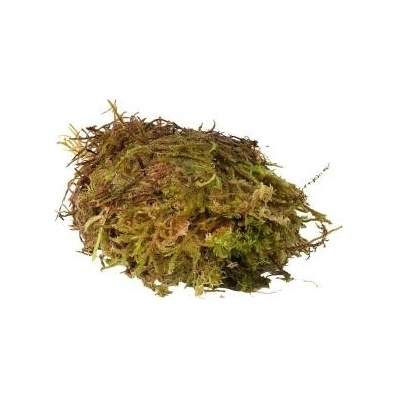 HabiStat Sphagnum Moss 1 kg – Zboží Dáma