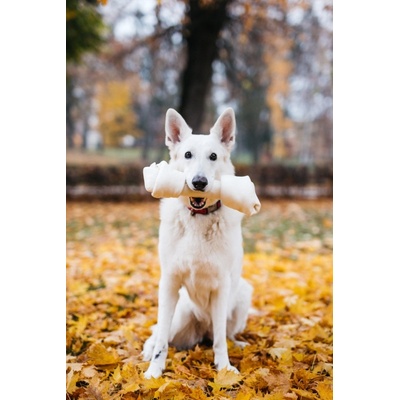 PetsUp Buvolí uzel přírodní 33 cm