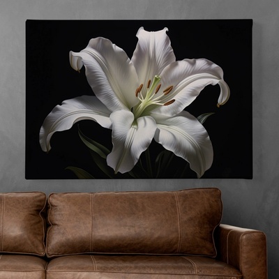 Obraz na plátně - Květ Lilie na černém pozadí FeelHappy.cz Velikost obrazu (šířka x výška): 120 x 80 cm