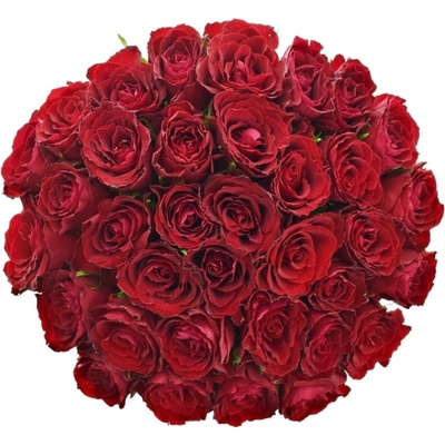Kytice 35 rudých růží MADAM RED 70cm