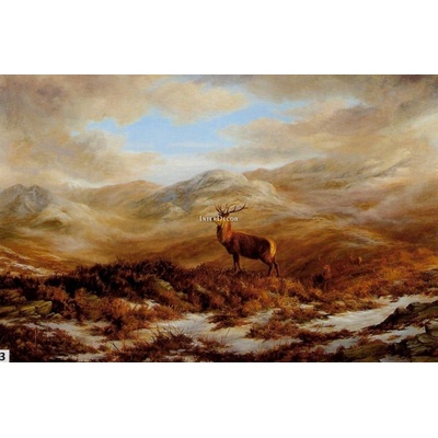 Údolí jelenů 1 deska 70x55