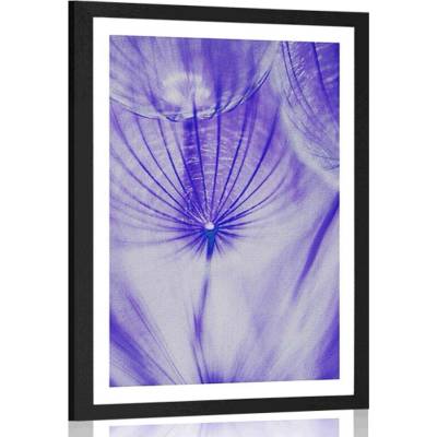 Plakát s paspartou pampeliška v fialovém provedení - 20x30 black