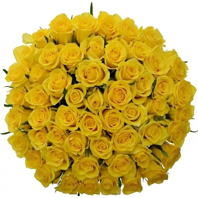 Kytice 55 žlutých růží SOLERO 70cm