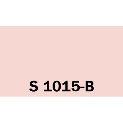 Het Soldecol Unicoat SM 2,5L NCS S 1015-B
