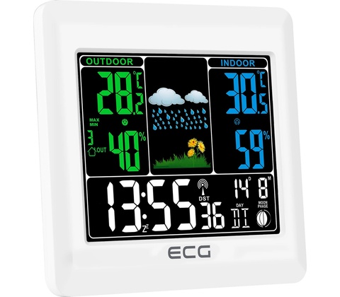 ECG MS 300