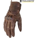 Trilobite Café