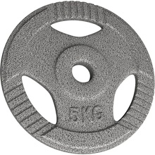 Physionics liatinový kotúč, 5 kg, 31 mm